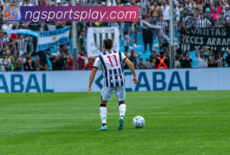 NG体育发展历程