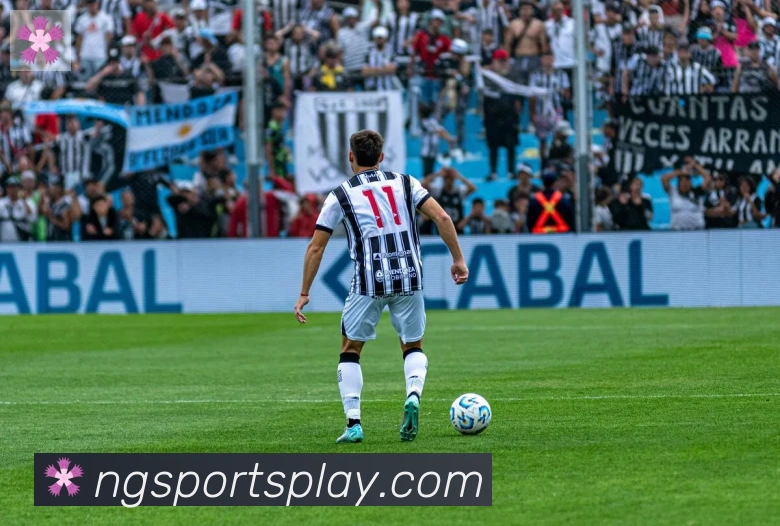 NG体育品牌故事