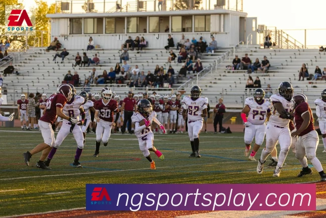 App Interface Preview