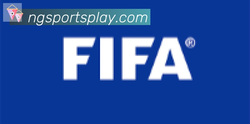 NG体育合作伙伴