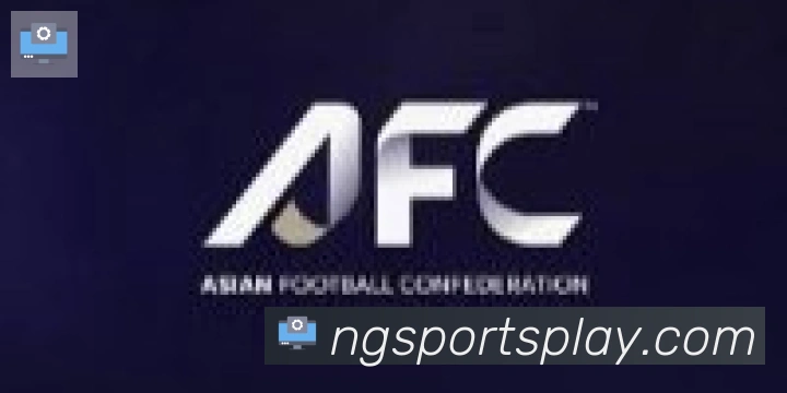 NG体育合作伙伴