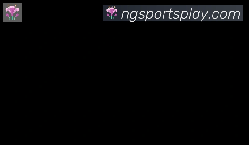 NG体育合作伙伴