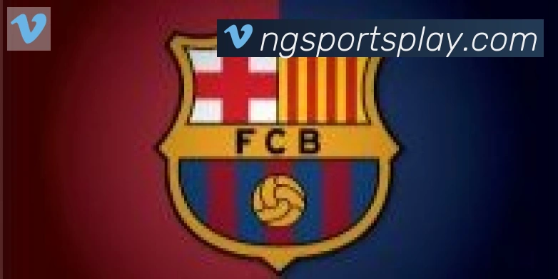 NG体育合作伙伴